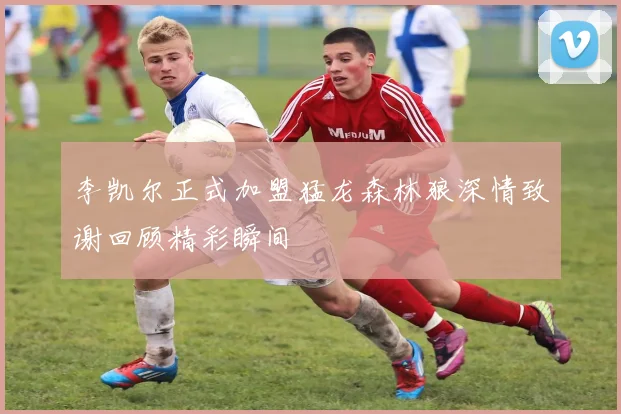 李凯尔正式加盟猛龙森林狼深情致谢回顾精彩瞬间